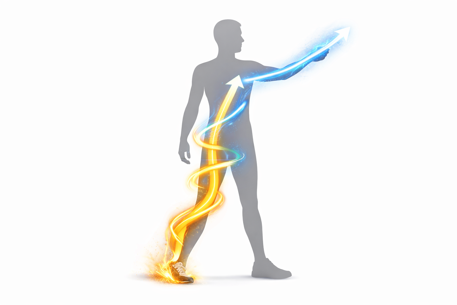 運動連鎖（力の通り道）のイメージ