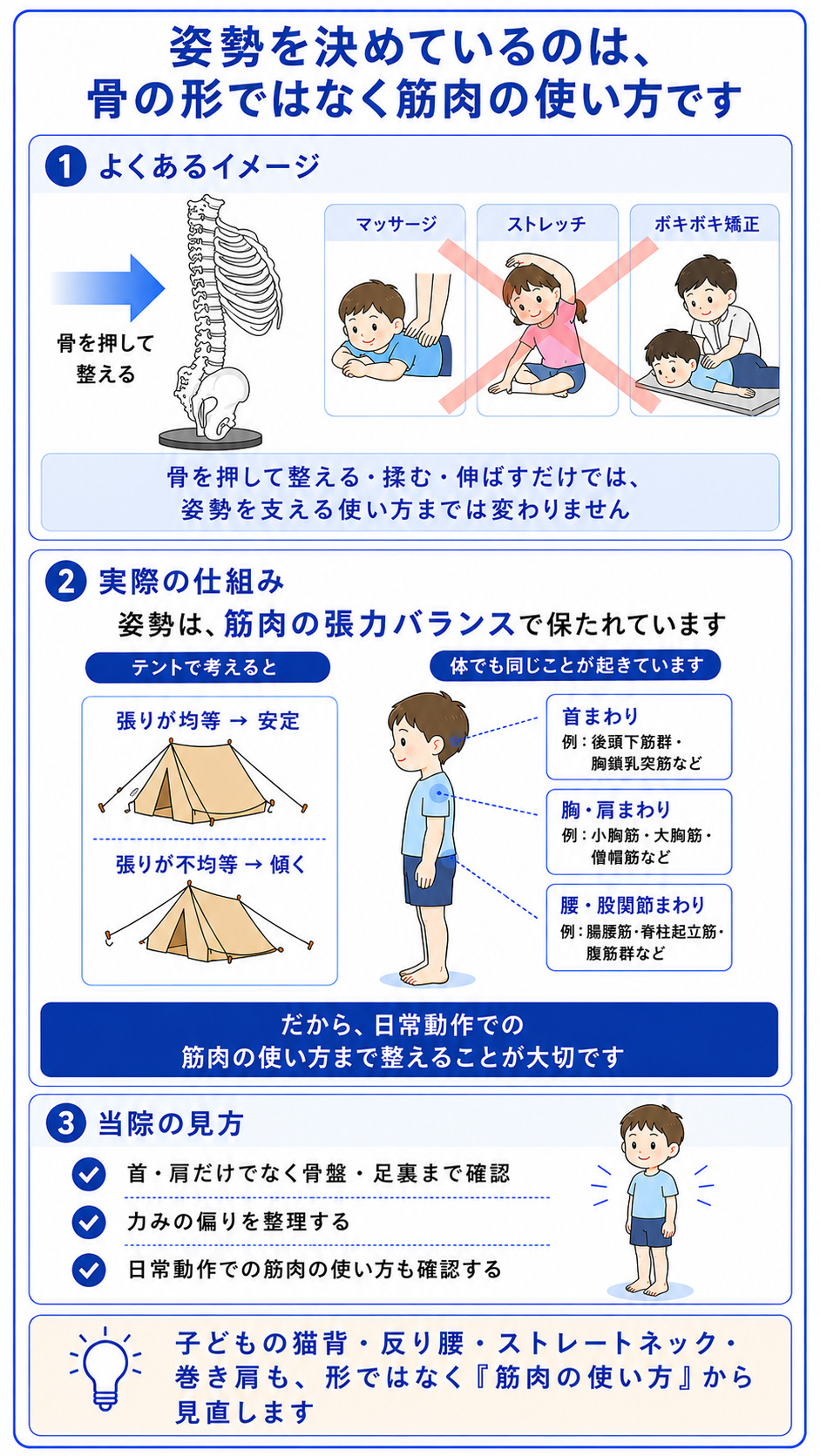 子どもの姿勢は、骨の歪みだけでなく筋肉の使い方や体の支え方が関係することを説明した図