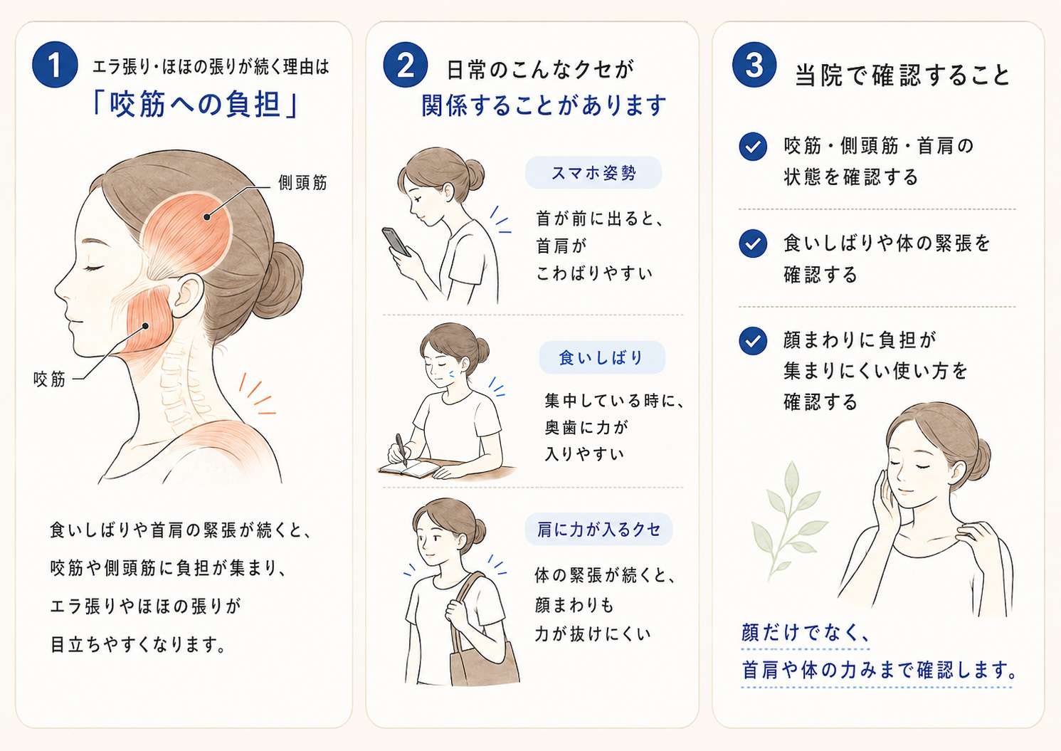 食いしばりや首肩の緊張によって咬筋や顔まわりへ負担が集まりやすくなる状態と、当院で確認するポイントを示した図